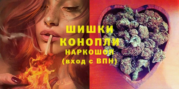 гидра Нея