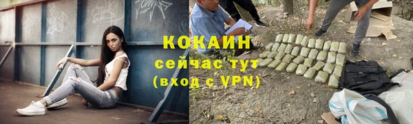 mdpv Новодвинск