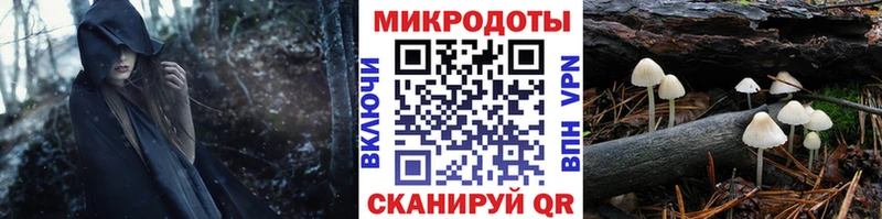 продажа наркотиков  Полесск  Галлюциногенные грибы GOLDEN TEACHER 