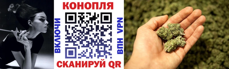 наркота Полесск Канабис конопля